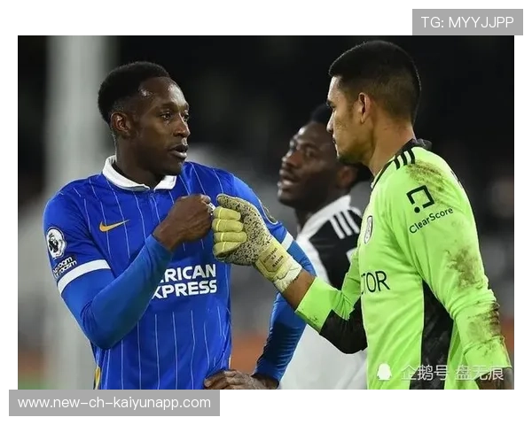 布莱顿前插选择多样 布莱顿前插选择多样